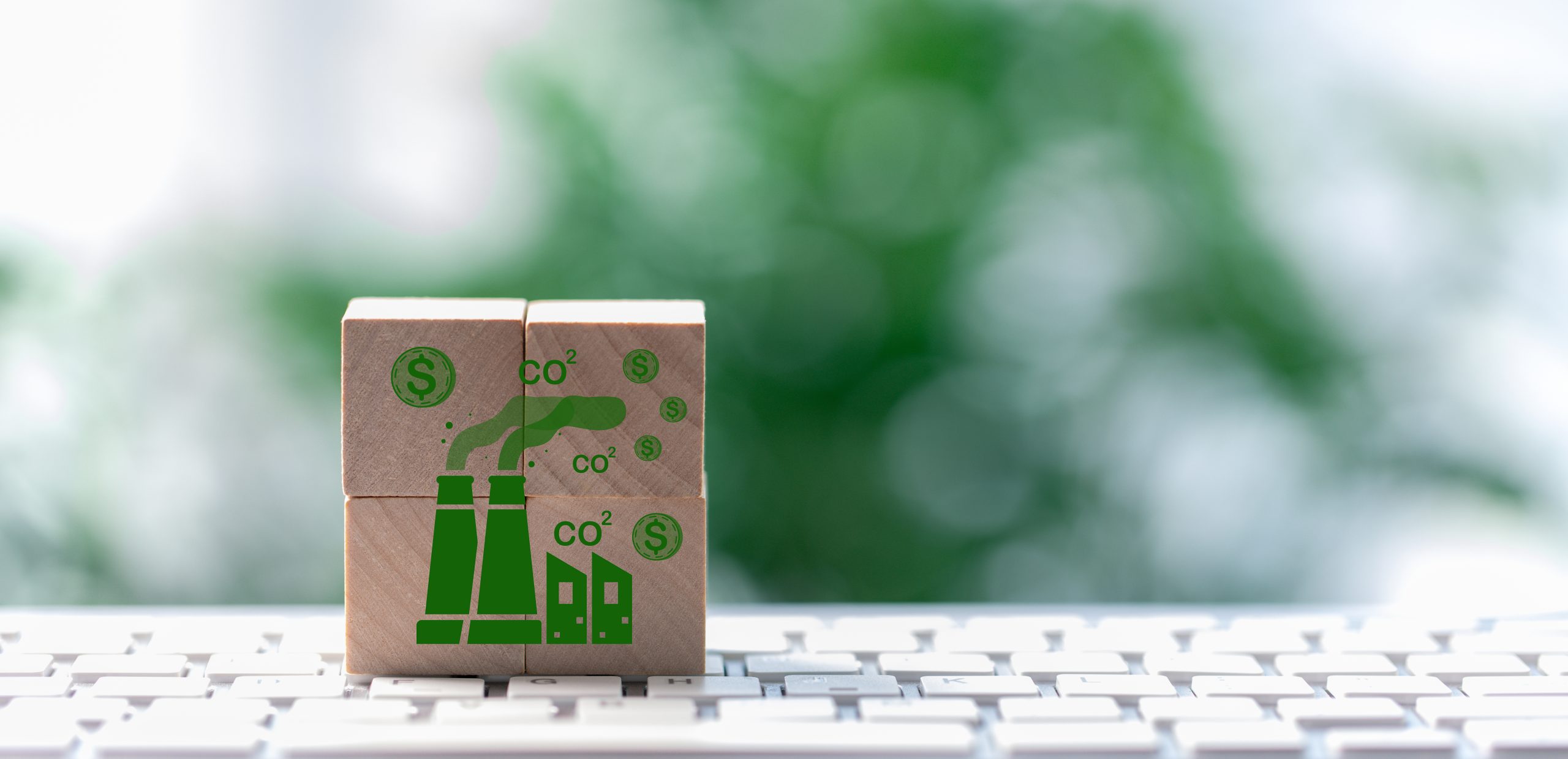 Carbon Trading and Environmental Finance