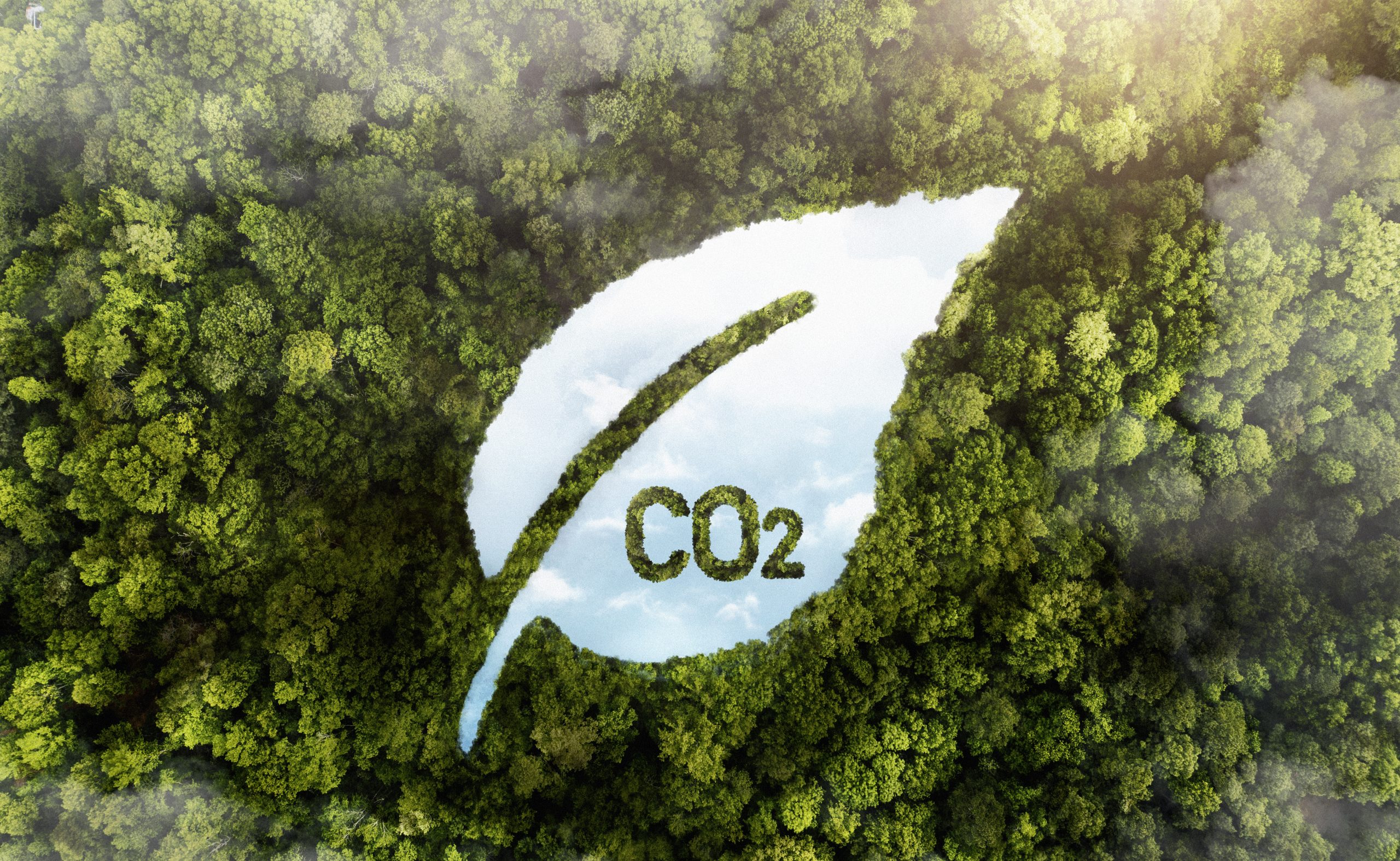 Carbon Markets and Environmental Finance